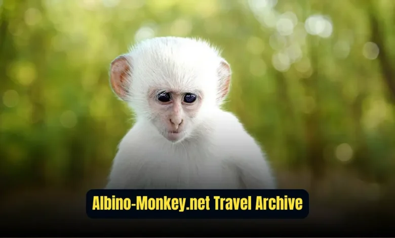 albino-monkey.net